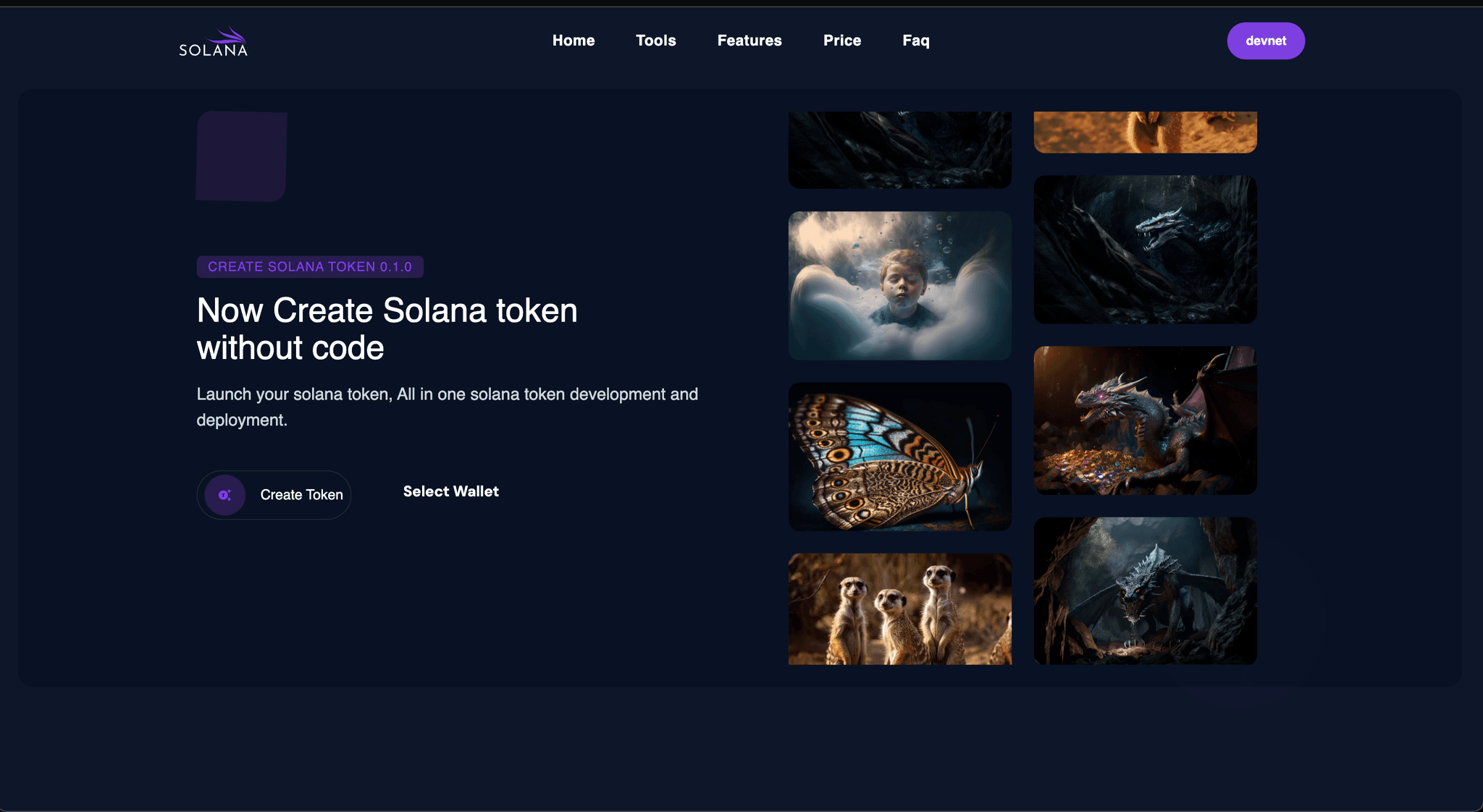 Solana Token